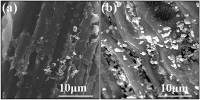 Preparation of High-Performance CdS@C Catalyst Using Cd-Enriched Biochar Recycled From Plating Wastewater